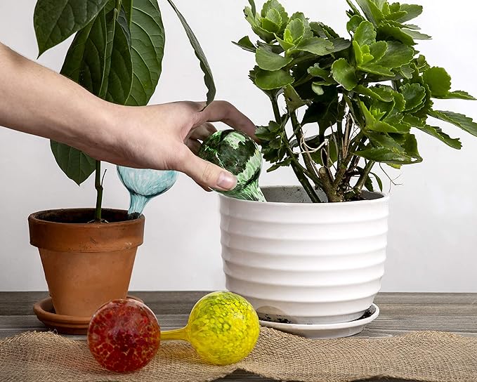 Besti Large Self Watering Globes for Plants (6-Pack) Waters Greenery Up to 2 Weeks Hands Free | Durable, Multicolored Glass Craftsmanship | Indoor and Outdoor Use - Measures 12” x 3.5”