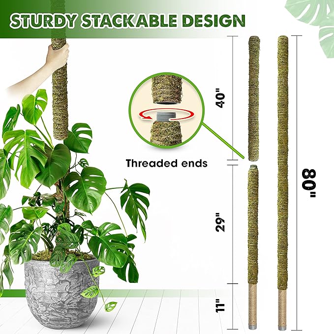 DUSPRO 80 Inches Large Moss Pole for Plants Monstera, Plant Stakes for Indoor Plants, Monstera Plant Support, Plant Support/Plant Pole for Big Climbing Plants Indoor (1pc., 80'')