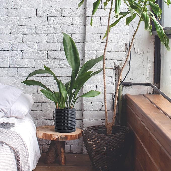 D'vine Dev 6 Inch Ceramic Beaded Stoneware Planter Pot - Flower Pot with Drainage Holes and Saucers for Indoor Succulent Plants or Flowers, Ebony Matte, 27-C-X-6