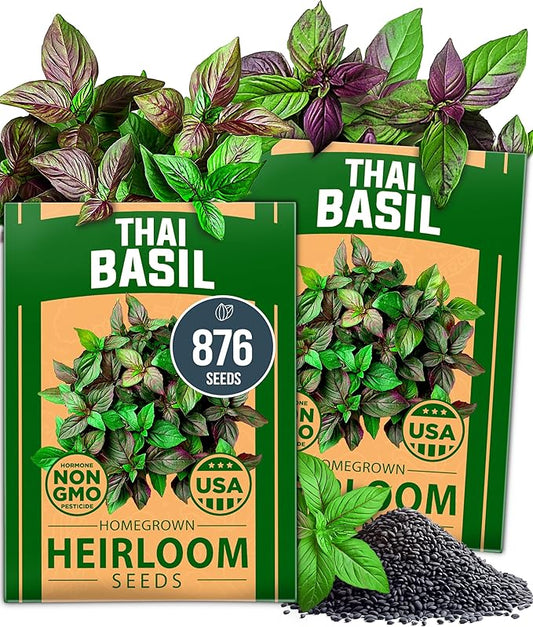HOME GROWN Thai Basil Seeds Pack - 876 High Germination 𝗡𝗢𝗡-𝗚𝗠𝗢 𝗨𝗦𝗔 Heirloom Herb Seeds for Planting,Ideal for Growing Fresh Basil Planting Indoor or Outdoor(Ocimum basilicum var.thyrsiflora)
