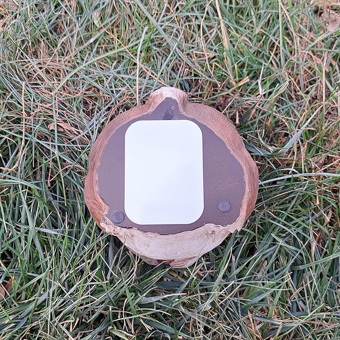 Stocky Squirrel Outdoor Hidden Key Hider and Decorative Patio, Lawn and Garden Statue