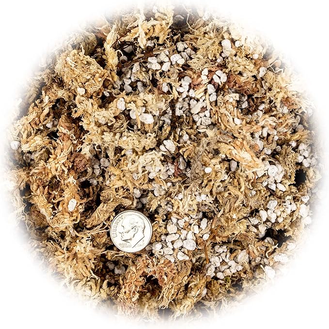 Sphagnum Moss Potting Mix for Carnivorous Plants, Moss and Perlite Blend for Potting Venus Fly Traps, Sarracenia, Pitcher Plants - 75% Sphagnum Moss + 25% Perlite - Made in USA - 5 Quart