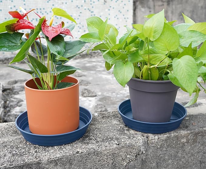 Plant Saucer 14 Inch 2 Pack 6 8 10 12 14 16 18 20 25, Plastic Plant Trays for Pots，Extra-Deep Plant Water Dray Tray, Bird Bath Bowl, Heavy Flower Plant Saucers Indoors and Outdoor No Holes