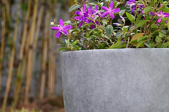 Kante 14 Inch Dia Round Concrete Planter, Indoor Outdoor Large Plant Pot with Drainage Hole and Rubber Plug for Home Patio Garden, Natural Concrete