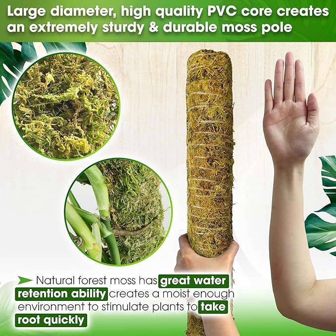 DUSPRO 80 Inches Large Moss Pole for Plants Monstera, Plant Stakes for Indoor Plants, Monstera Plant Support, Plant Support/Plant Pole for Big Climbing Plants Indoor (1pc., 80'')