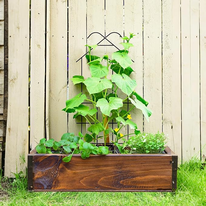 ARIFARO 40'' Metal Garden Trellis for Climbing Plants, Indoor/Outdoor Sturdy Plant Trellis for Potted Plants,House Plants, Climbing Vines, Pack of 4, Black