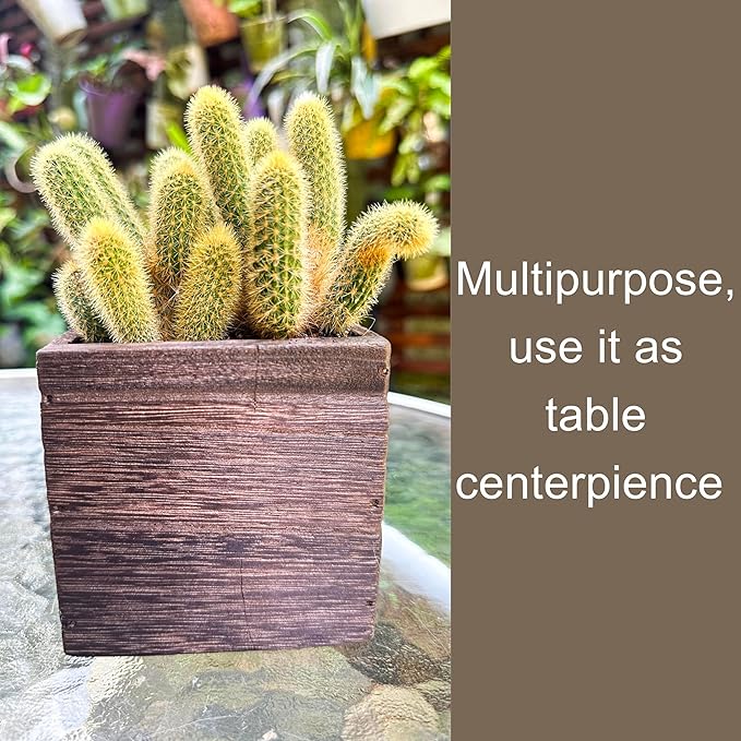 LaLaGreen Wood Planter Boxes for Plants (8 Pack, 4x4 Inch) Small Square Wall Mounted Planters for Indoor Plant, Herb Wooden Box Hanging Flower Pot Plant Holder Outdoor Fence Vertical Garden Home Decor