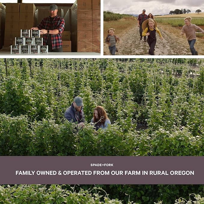 Organic Indoor Lettuce & Greens Garden Starter Kit - Certified USDA Organic Non GMO - Includes Spinach, Kale, Red Romaine, Loose Leaf Lettuce Seeds for Planting, Potting Soil, Peat Pots