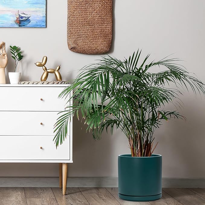 D'vine Dev 10 Inch Ceramic Planter Pot with Drainage Hole and Saucer, Indoor Cylinder Round Planter Pot, Teal, 94-O-E-9