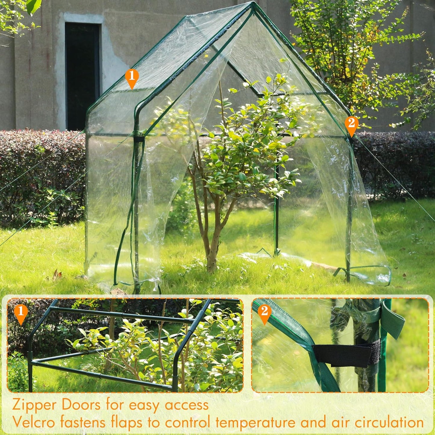 Gardzen Mini Greenhouse Heavy Duty Portable Green House, Clear Tent Small Greenhouse for Indoor Outdoor Plants 36.2”(L) x53.3”(W) x66.1”(H)