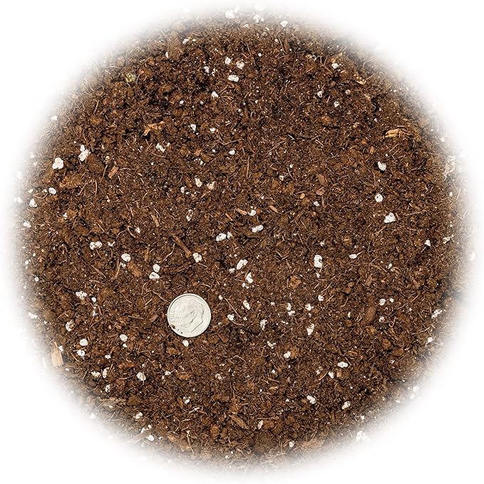 Money Tree Potting Soil, Soil Mix for Planting or Repotting Guiana Chestnut, Soil Blended to Properly Grow Money Tree Plants - (4 Quart Bag)