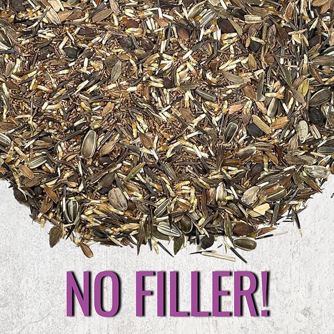 Seed Needs Garden Flower Seeds Large Blooms Mix Hummingbird and Butterfly | 5 Packs (1 Ounce Each) No Filler 7 Varieties Open Pollinated | Resealable Package Live Wild Flower Seed | Bulk