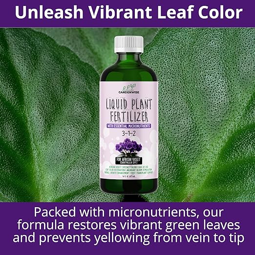 3-1-2 African Violet Fertilizer for Indoor Plants: Liquid Fertilizer with Essential Micronutrients Drops - Plant Food for African Violets (16 OZ)
