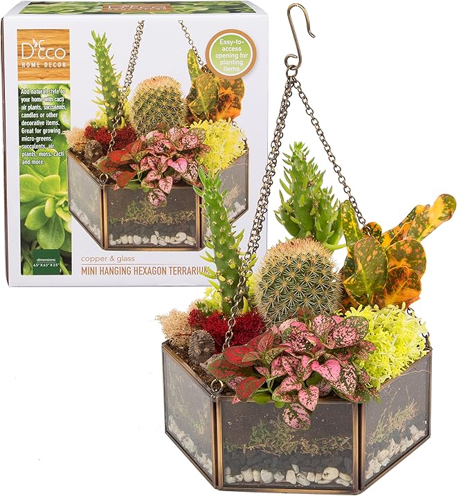 Deco Glass Geometric DIY Terrarium, Succulent & Air Plant- Hanging Mini Hexagon Shaped for Indoor Gardening Decor- Create Your own Flower, Fern, Moss Centerpiece- Amazing Holiday and Wedding Gift