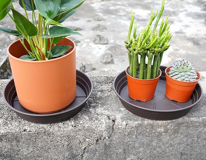 Plant Saucer 8 Inch 4 Pack 6 8 10 12 14 16 18 20 25, Plastic Plant Trays for Pots，Extra-Deep Plant Water Dray Tray, Bird Bath Bowl, Heavy Flower Plant saucers Indoors and Outdoor No Holes 8in-4 brown