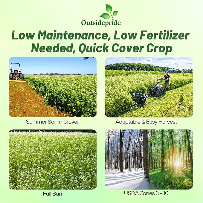 Outsidepride Buckwheat Seeds - 20lbs Annual, Fast-Growing, Easy to Grow Buckwheat Cover Crop Seeds for Green Manure, Bee Pasture & Pollinators, Wildlife Habitat, Soil Improvement, and Erosion Control