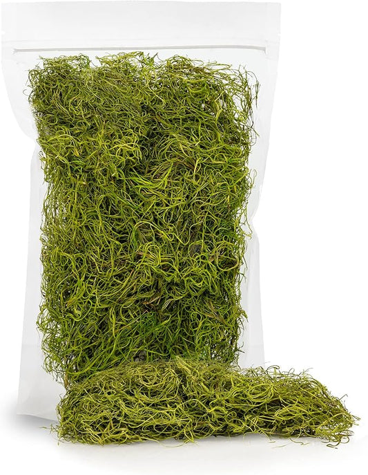 Premium Spanish Moss in Spring Green| Natural Preserved - Great Ground Cover - Filler for Potted Plants - by GARDENERA - 5 Quart Bag