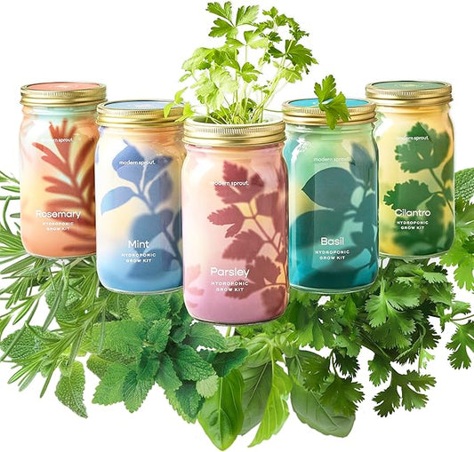 Modern Sprout New & Improved Mason Jar Grow Set, Indoor Herb Garden, Seed Starter Set, Organic Seeds, Hydroponic Growing (Basil + Mint + Parsley + Cilantro + Rosemary)