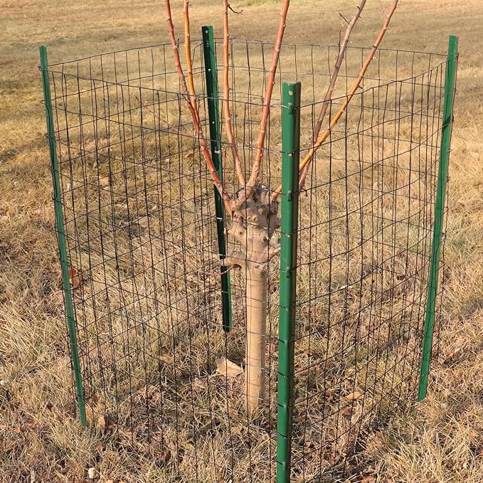 Black PVC Coated Welded Wire Fence 48 Inch x 25 Foot, 2 Inch x 3 Inch 16GA, Garden Border Fencing Roll Vinyl Coating Metal Wire Mesh for Yard Vegetable Plant Protection Poultry Netting