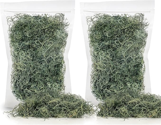 Premium Spanish Moss in Basil| Natural Preserved - Great Ground Cover - Filler for Potted Plants - by GARDENERA - 1 Quart Bag