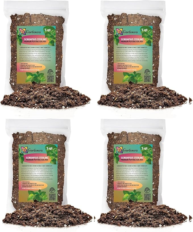 Scindapsus Sterling Potting Mix - Unlock Robust Growth and Stunning Leaves with Our High-Performance Formula - 20 Quart