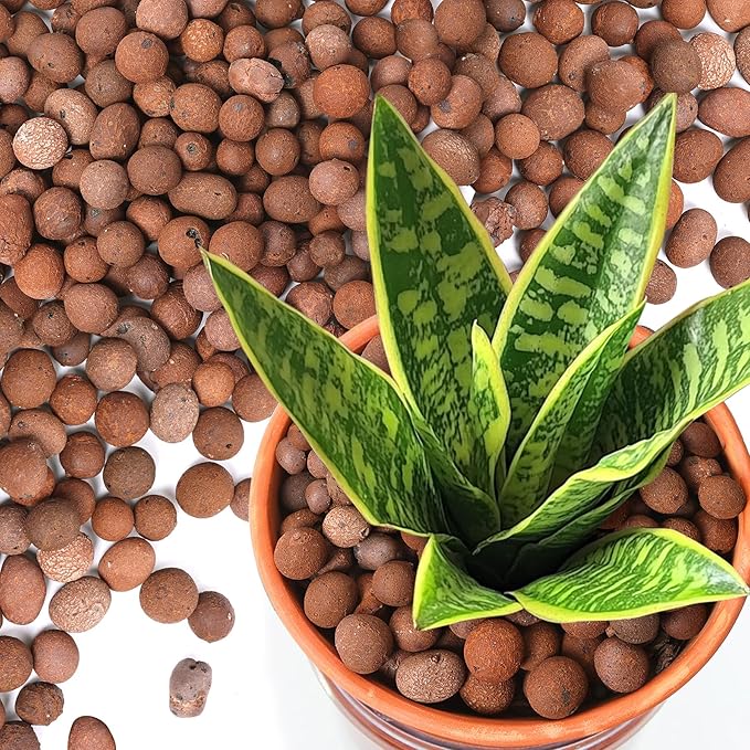 T4U Leca Clay Pebbles for Plants, 4 LBS 10-20 mm Clay Balls for Indoor Plants, Natural Clay Pebbles for Orchid Potting Mix, Hydroponic, Leca Pots, Plant Drainage, Garden Soil