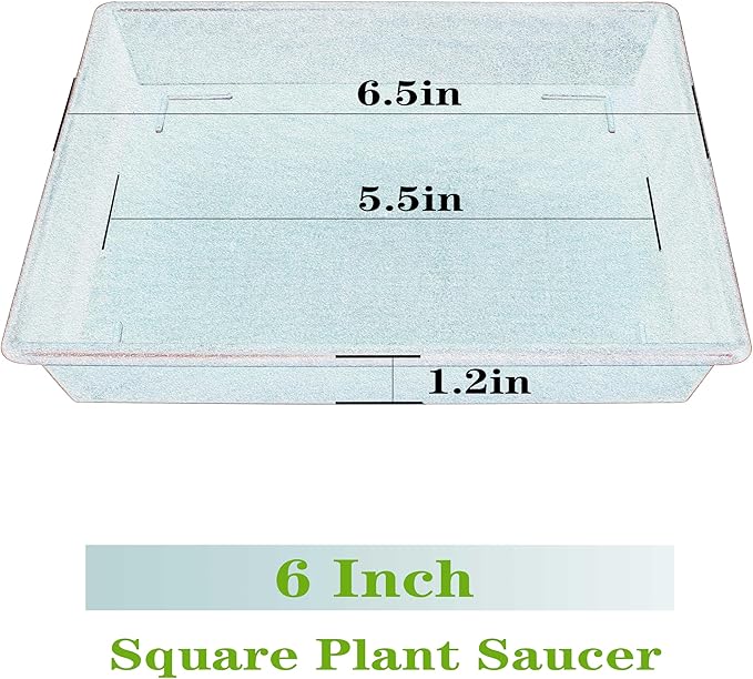 Square Plant Saucer 6 Inch 5 Pack6 8 12 14 16 18 20 Plastic Plant Saucers for Indoors Outdoors, Flower Pot No Holes Plant Drip Trays, Plant Trays for Pots Heavy Duty