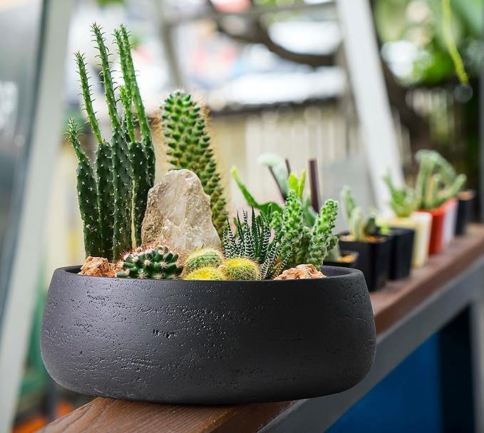 Olly & Rose Copenhagen Large Ceramic Planter Bowl Shallow Plant Pot - Matt Black Flower Pot Indoor and Outdoor Garden Décor…