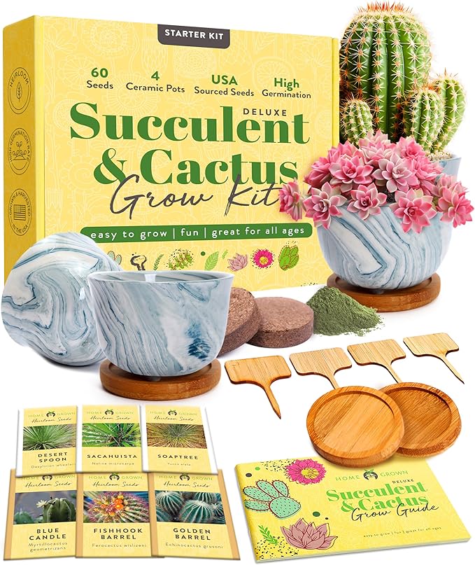 HOME GROWN Deluxe Succulent & Cactus Seed Grow Kit - Indoor Cactus & Succulent Kit w/Cactus Seeds, Potting Soil, Ceramic Succulent Pots, Water Drip Trays, Grow Guide for Plant Lovers