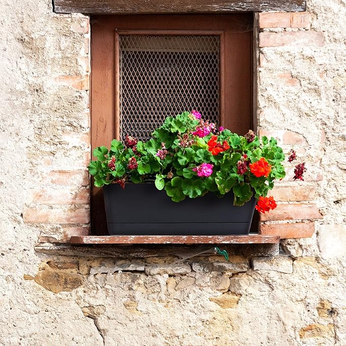 GREANER Black Rectangle Window Boxes, 3 Pack 12x3.8 Inch Herb Planters with Tray, Indoor Succulent Cactus Mint Plastic Pot for Windowsill, Garden Balcony, Office Outdoor Decoration