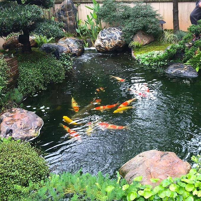 20 x 25 FT Pond Liner, 20 Mil Fish Pond HDPE Liner, Pond Liners for Outdoor Ponds, Koi Ponds, Garden Fountain, Waterfall