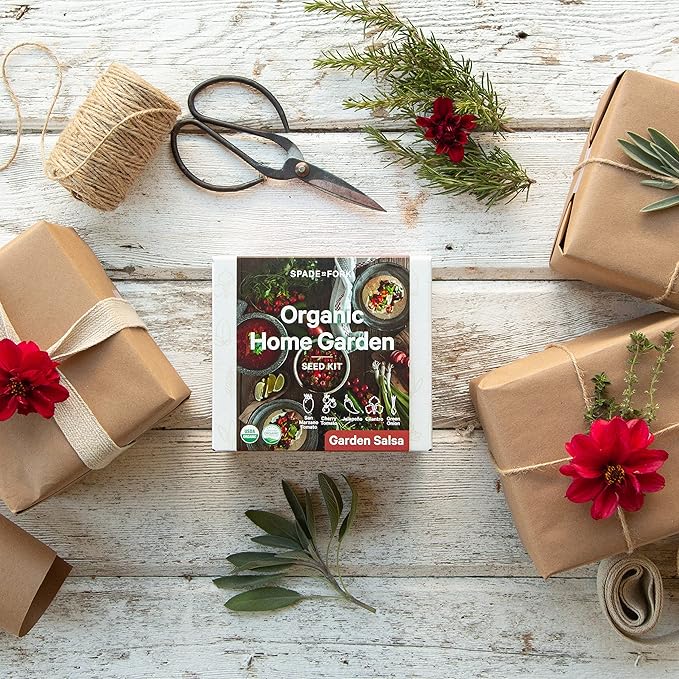 Organic Indoor Salsa Garden Starter Kit - Made in USA - Certified USDA Organic - 5 Seed Types San Marzano & Cherry Tomato, Jalapeño, Cilantro, Green Onion - Potting Soil, Indoor Herb Garden Kit